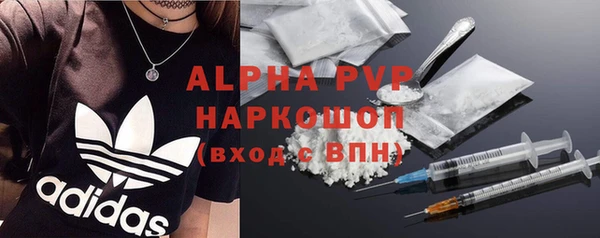 ГАЛЛЮЦИНОГЕННЫЕ ГРИБЫ Бородино