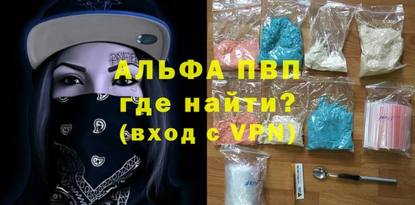 ГАЛЛЮЦИНОГЕННЫЕ ГРИБЫ Бородино