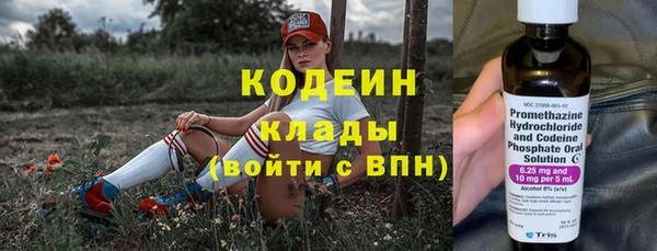 ГАЛЛЮЦИНОГЕННЫЕ ГРИБЫ Бородино