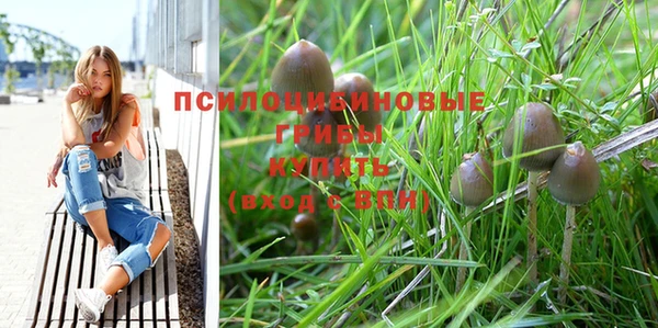 apvp Бронницы