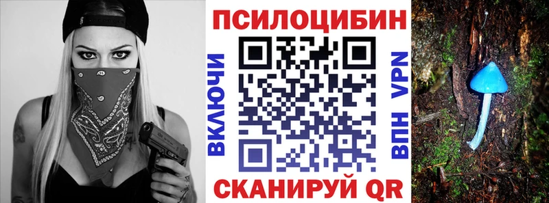 kraken как войти  даркнет сайт  Верхняя Тура  Псилоцибиновые грибы GOLDEN TEACHER 